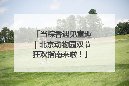当粽香遇见童趣｜北京动物园双节狂欢指南来啦！