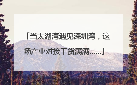 当太湖湾遇见深圳湾，这场产业对接干货满满……