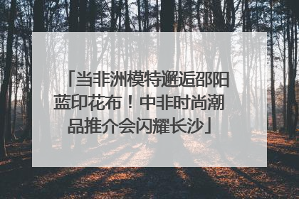 当非洲模特邂逅邵阳蓝印花布！中非时尚潮品推介会闪耀长沙