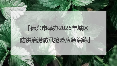 德兴市举办2025年城区防洪治涝防汛抢险应急演练