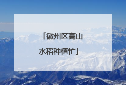 徽州区高山水稻种植忙