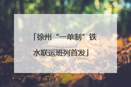 徐州“一单制”铁水联运班列首发