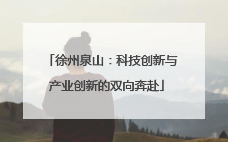 徐州泉山：科技创新与产业创新的双向奔赴