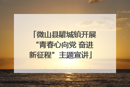 微山县驩城镇开展“青春心向党 奋进新征程”主题宣讲