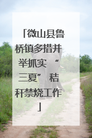 微山县鲁桥镇多措并举抓实 “三夏” 秸秆禁烧工作