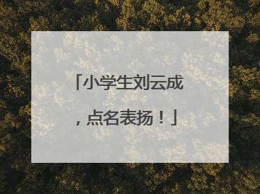 小学生刘云成，点名表扬！