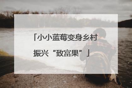 小小蓝莓变身乡村振兴“致富果”