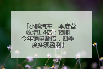小鹏汽车一季度营收增1.4倍：预期今年销量翻倍，四季度实现盈利