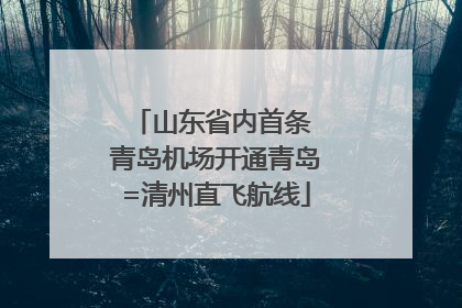 山东省内首条 青岛机场开通青岛=清州直飞航线