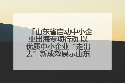 山东省启动中小企业出海专项行动 以优质中小企业“走出去”新成效展示山东产业发展新形象