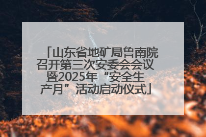 山东省地矿局鲁南院召开第三次安委会会议暨2025年“安全生产月”活动启动仪式