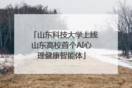 山东科技大学上线山东高校首个AI心理健康智能体