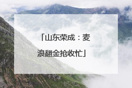山东荣成：麦浪翻金抢收忙