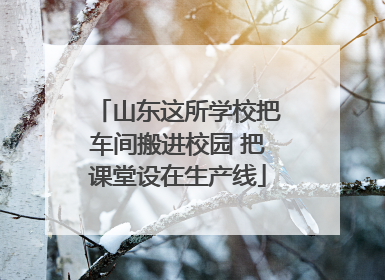 山东这所学校把车间搬进校园 把课堂设在生产线