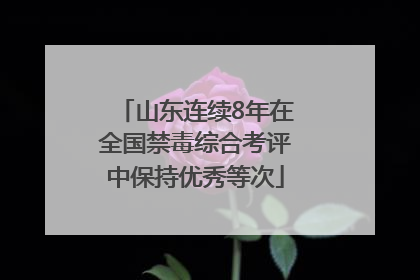 山东连续8年在全国禁毒综合考评中保持优秀等次