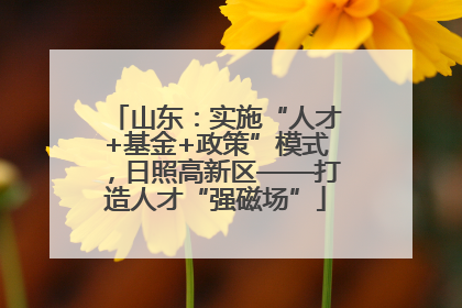 山东：实施“人才+基金+政策”模式，日照高新区——打造人才“强磁场”