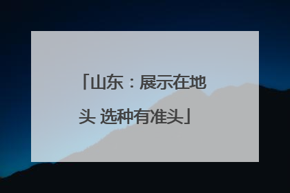 山东：展示在地头 选种有准头