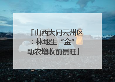 山西大同云州区：林地生“金” 助农增收前景旺