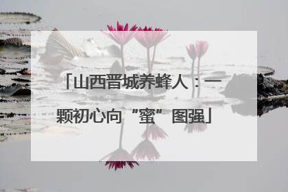 山西晋城养蜂人：一颗初心向“蜜”图强