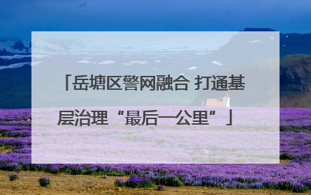岳塘区警网融合 打通基层治理“最后一公里”