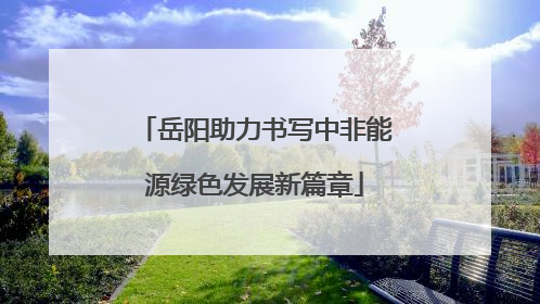 岳阳助力书写中非能源绿色发展新篇章