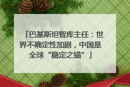 巴基斯坦智库主任：世界不确定性加剧，中国是全球“稳定之锚”
