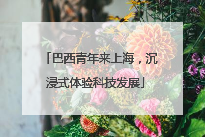 巴西青年来上海，沉浸式体验科技发展