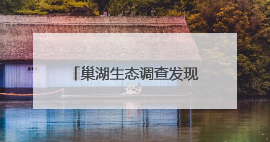 巢湖生态调查发现多种新记录物种