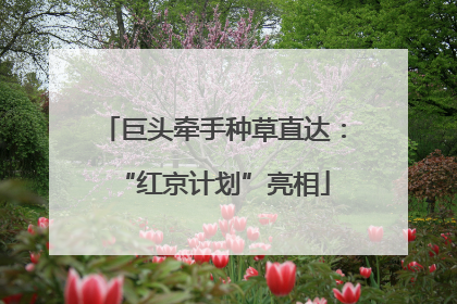 巨头牵手种草直达：“红京计划”亮相