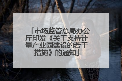 市场监管总局办公厅印发《关于支持计量产业园建设的若干措施》的通知