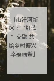 市洋河新区：“红蓝”交融 共绘乡村振兴幸福画卷
