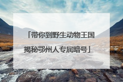 带你到野生动物王国揭秘鄂州人专属暗号