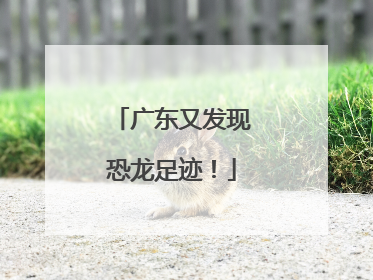 广东又发现恐龙足迹！