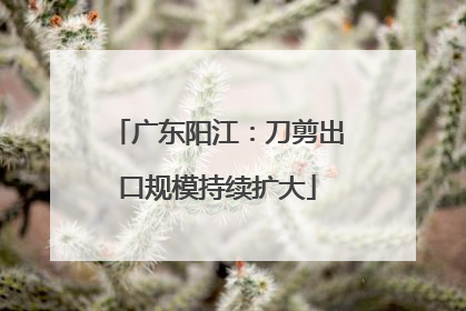 广东阳江：刀剪出口规模持续扩大