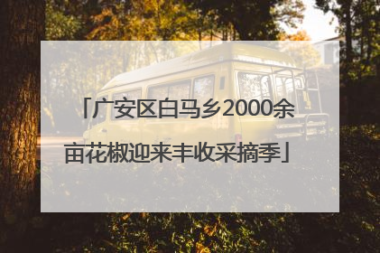 广安区白马乡2000余亩花椒迎来丰收采摘季