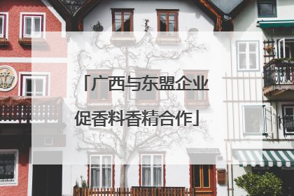 广西与东盟企业促香料香精合作
