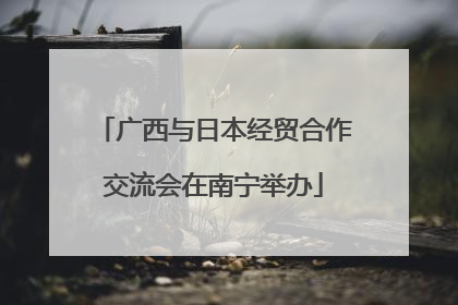 广西与日本经贸合作交流会在南宁举办