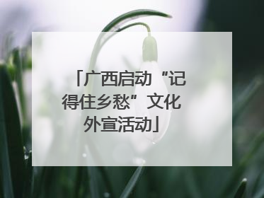 广西启动“记得住乡愁”文化外宣活动