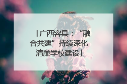 广西容县：“融合共建”持续深化清廉学校建设