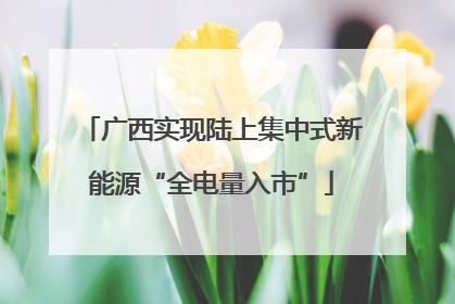 广西实现陆上集中式新能源“全电量入市”