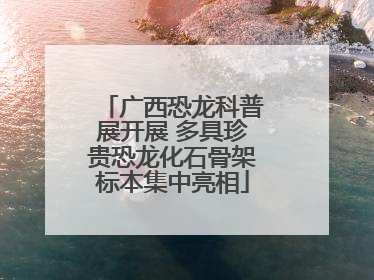 广西恐龙科普展开展 多具珍贵恐龙化石骨架标本集中亮相