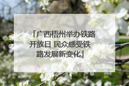广西梧州举办铁路开放日 民众感受铁路发展新变化