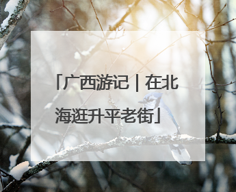 广西游记｜在北海逛升平老街