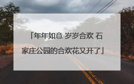 年年如意 岁岁合欢 石家庄公园的合欢花又开了