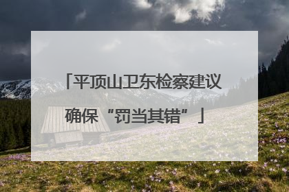 平顶山卫东检察建议确保“罚当其错”