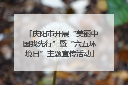庆阳市开展“美丽中国我先行”暨“六五环境日”主题宣传活动