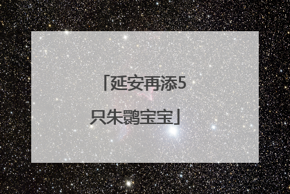 延安再添5只朱鹮宝宝