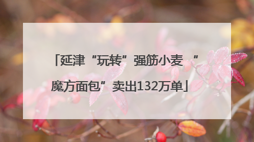 延津“玩转”强筋小麦 “魔方面包”卖出132万单