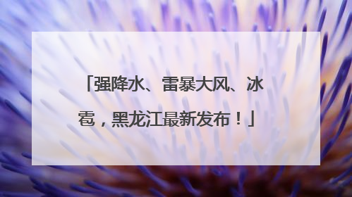 强降水、雷暴大风、冰雹，黑龙江最新发布！