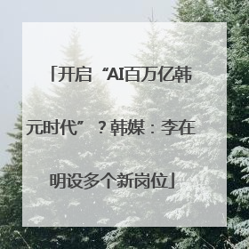 开启“AI百万亿韩元时代”？韩媒：李在明设多个新岗位